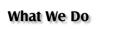 What We Do